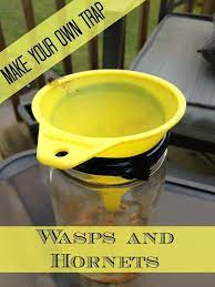 Homemade Natural Insect Sprays And Traps Homemade Wasp Trap Wasp Traps Natural Insect Spray