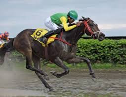 Pin En Deportes