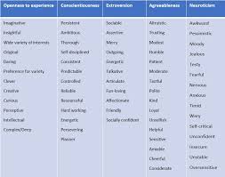 5 personality types to help you understand employees