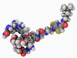Image result for Bleomycin