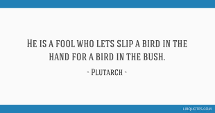 Used in 13th century latin (plus valet in manibus avis unica quam dupla silvis .in the woods, rather than .in the bush). He Is A Fool Who Lets Slip A Bird In The Hand For A Bird In