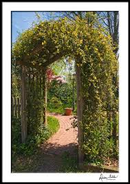 Pin By Rex Ritarita On For The Home Garden Amazing Gardens Carolina Jasmine Southern Garden