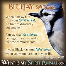 Symbolism Birds And Their Meanings Bluejay Symbolism Meaning Bluejay Spirit Totem Power Animal Animal Totem Spirit Guides Power Animal Spirit Animal Meaning