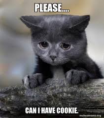 We did not find results for: Please Can I Have Cookie Confession Cat Make A Meme