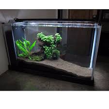Page 1 of 2 1 2 next > dutchmuch junior poster. Fluval Spec V 5 Fish Tank Set Pet Supplies On Carousell