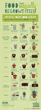 Food That Magically Regrows Itself From Kitchen Scraps Jerry James Stone In 2020 Food Scraps Organic Vegetables Growing Food