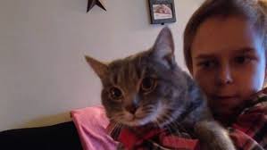 Fundraiser for Stephen Wagner by Dennis Ralston : Funeral Costs for Stephen  Wagner