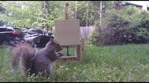 The bucket mouse trap catches many mice in a single trap and does not need to be reset between mice. How To Make A Squirrel Trap Diy Catch Alive Trap Youtube