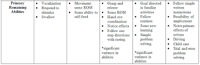 Allen Cognitive Levels My Ot Portfolio