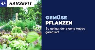 Gurken sind nicht gleich gurken: Gemuse Pflanzen So Gelingt Der Eigene Anbau Garantiert Hansefit