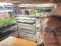 What soil mix and size pot works for starting cuttings?