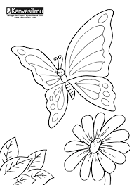 Cara menggambar kupu kupu how to draw butterfly youtube via www.youtube.com. 45 Gambar Sketsa Kupu Kupu Untuk Kolase Terlengkap Top Gambar Kolase