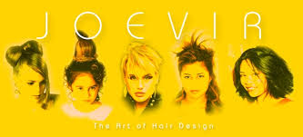 Art of hair design, chicago, illinois. Welcome To Joevir The Art Of Hair Design