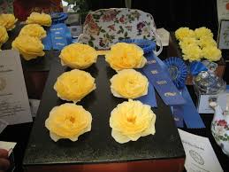 Varieties & characteristics technical manager and senior rosarian michael david austin roses. David Austin English Roses The Rose Journal