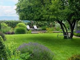 Woodcote Garden Joanne Winn Garden Design Wallington Uk Nicola Stocken Tomkins Photo Garden Design Backyard Patio Garden Landscaping