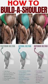 Exceptional Health Tips Information Are Available On Our Web Pages Check It Out And You Wont Be Sorry Weight Training Workouts Shoulder Workout Compound Lifts