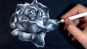 Realistic Rose Drawing On Black Paper Drawing