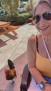 Mark Brandow Obituary (2021)