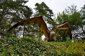 Anurognathus is a genus of small pterosaur that lived during the late jurassic period (tithonian stage). Cearadactylus Bild Von Dinopark Munchehagen Rehburg Loccum Tripadvisor