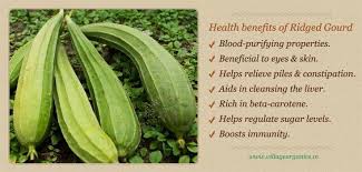 Snake gourd is rich in vitamins a, b and c. Facebook