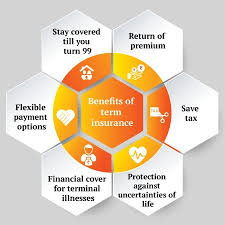 Maybe you would like to learn more about one of these? What Are The Best Life Insurance Plans For Senior Citizens