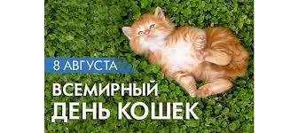 В 2020 году он проходит уже в 16 раз. Otkrytki Na Vsemirnyj Den Koshek Otkrytki S Dnem Koshek