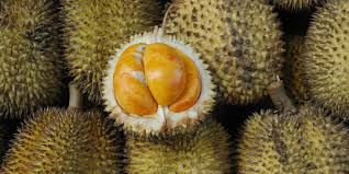 Ketahuilah bahwa harga durian di makassar memang cukup mahal, untuk tiap buahnya bisa memiliki harga sekitar rp. 7 Jenis Durian Unggul Yang Cepat Berbuah Dan Banyak Digemari Merdeka Com