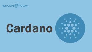 This is how cardanos first dex will try to disrupt defi. Cardano S Popularity Among Users Skyrockets Sets Highest Record This Year