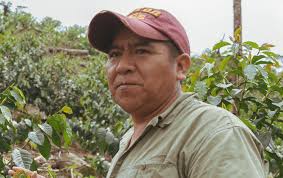 Bolivia Carmelo Yujura specialty coffee tostato con legno di ciliegio