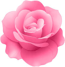 Pink rose flower blooming out pc wallpaper clippub. Pink Rose Flower Clip Art Image Gallery Yopriceville High Quality Images And Transparent Png Free Clipart