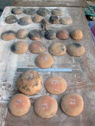 See more ideas about bread shaping, cute food, kawaii food. Experimental Bonfirings Of Pottery With Camel Dung Fuel Jordan July 2018 Exarc