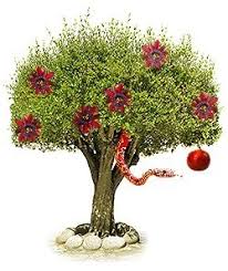 Fruit of an unwarned statement. The Fruit Of The Poisonous Tree Awakening Journey