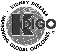 Https Kdigo Org Wp Content Uploads 2017 02 Kdigo 2012 Ckd Gl Pdf