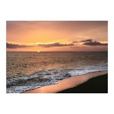 Image result for Sandy Beach 2013 Captiva