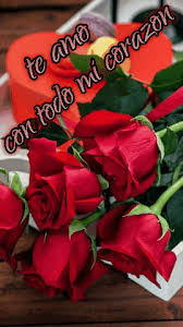 Https Encrypted Tbn0 Gstatic Com Images Q Tbn And9gcqsjaxnqbexl6timgshq6t Dqvpa1qavj4u5a Usqp Cau