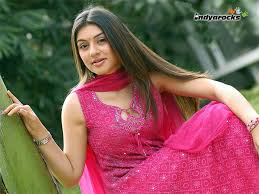 Image result for haniska