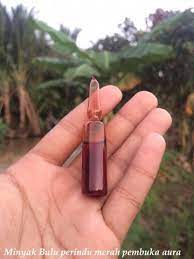 Buat siapapun tergila gila dan jatuh cinta sedalam dalamnya pada anda. Jual Minyak Bulu Perindu Asli Merah Kaskus