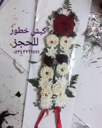 فل جيزان ابوعريش جيزان احدالمسارحه صامطه الطوال الحضرور Facebook