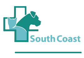 First coast veterinary specialists asub kohas jacksonville beach. Home Veterinarian In Laguna Niguel Ca South Coast Veterinary Hospital