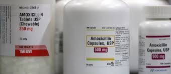 Image result for Penicillin