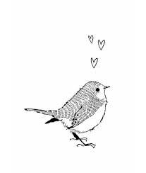 Kaart Vogel Vogels Tekenen Inkttekeningen Dierentekening