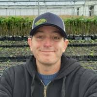 500+ "Vazzano" profiles