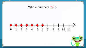 Counting numbers are whole numbers, but without the zero. Number Line Representation Of Whole Numbers On A Number Line Learn Smart Pakistan Youtube