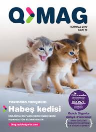 Calameo Qmag Sayi 19