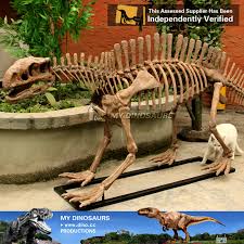 Check spelling or type a new query. Ds 021 Life Size Dinosaur Lotosaurus Skeleton Model My Dinosaurs