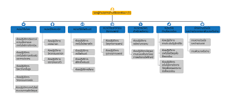 Organize Chart 01 Mtec A Member Of Nstda