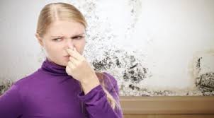 8 روائح خطيرة في المنزل لا يجب تجاهلها دنيا الوطن