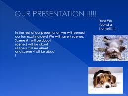 Find an animal shelter or rescue group. Please Help We Need A Home Almost Home Animal Shelter Is A No Kill Animal Shelter It Is Located In Southfield Michigan Our Team The Creative Ppt Download