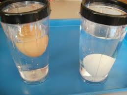 floating and sinking eggs science for