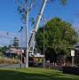 Caboolture Tree Removal Redcliffe from caboolture-tree-removal-redcliffe.business.site
